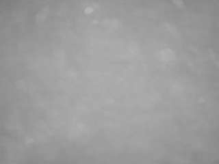 voyeurcam casa salsa pool 1